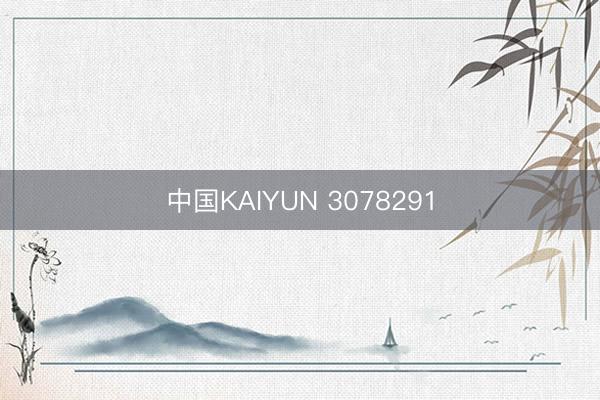 中国KAIYUN 3078291