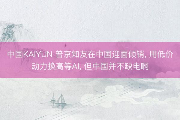 中国KAIYUN 普京知友在中国迎面倾销， 用低价动力换高等AI， 但中国并不缺电啊
