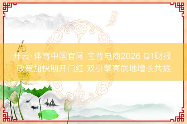 开云·体育中国官网 宝尊电商2026 Q1财报 政策加快期开门红 双引擎高质地增长共振
