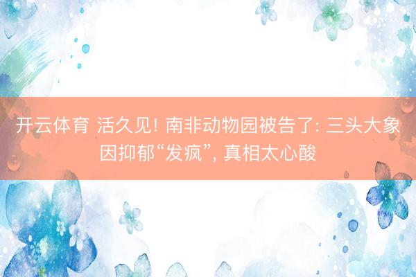 开云体育 活久见! 南非动物园被告了: 三头大象因抑郁“发疯”， 真相太心酸