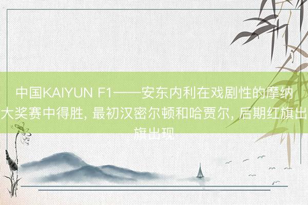中国KAIYUN F1——安东内利在戏剧性的摩纳哥大奖赛中得胜， 最初汉密尔顿和哈贾尔， 后期红旗出现