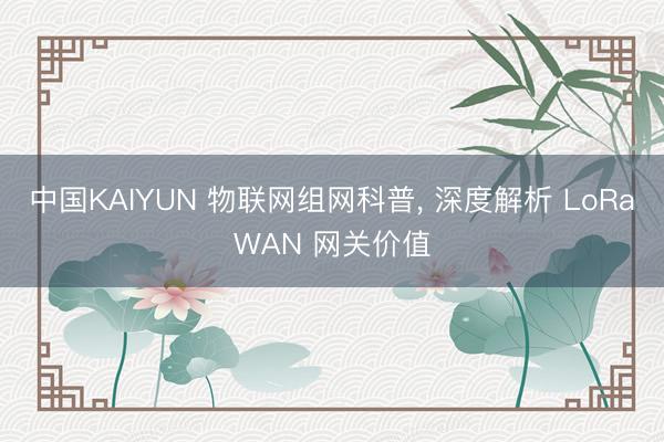 中国KAIYUN 物联网组网科普， 深度解析 LoRaWAN 网关价值