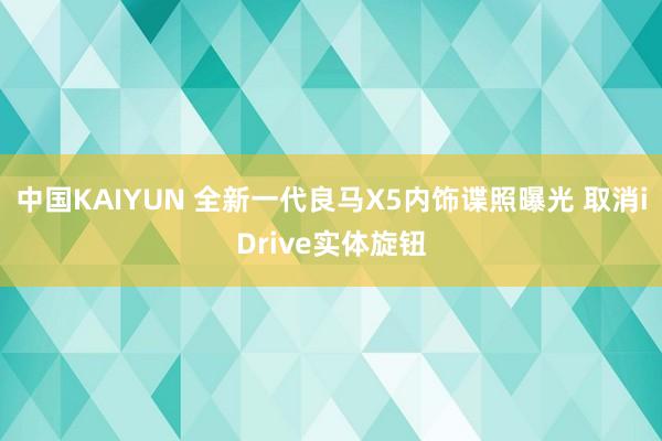 中国KAIYUN 全新一代良马X5内饰谍照曝光 取消iDrive实体旋钮